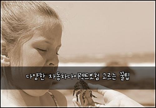 다양한 자동차다이렉트보험 고르는 꿀팁