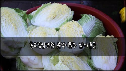홈쇼핑암보험 분석이필수  남다른곳