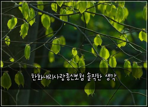 한화내리사랑종신보험 솔직한 생각