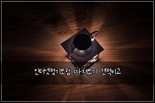 인터넷정기보험 따져보기  견적비교