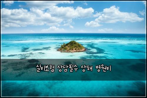 실비보험 상담필수  상해 병원비