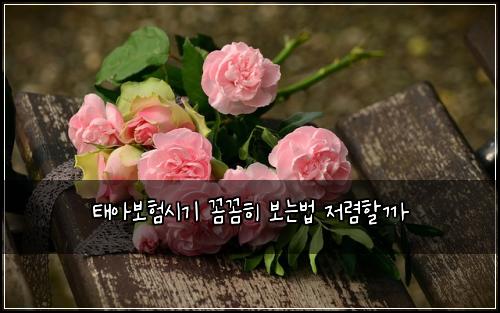 태아보험시기 꼼꼼히 보는법 저렴할까