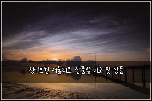 정기보험 서둘러요  상품별 비교 및 상품