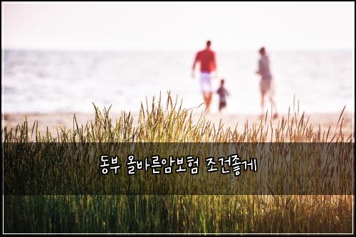 동부 올바른암보험 조건좋게 