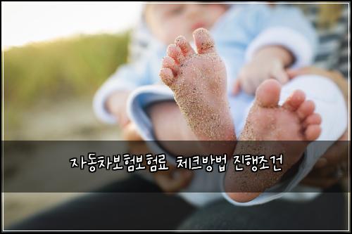 ์๋์ฐจ๋ณดํ๋ณดํ๋ฃ ์ฒดํฌ๋ฐฉ๋ฒ ์งํ์กฐ๊ฑด