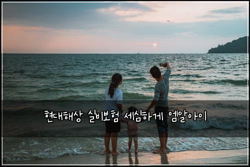 현대해상 실비보험 세심하게  엠알아이
