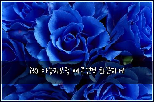 i30 ์๋์ฐจ๋ณดํ ๋น ๋ฅธ๊ฒฌ์ ํ๋ํ๊ฒ