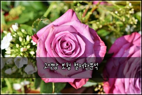 고액암 보험 철저한분석 