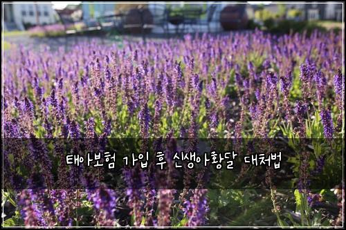 태아보험 가입 후 신생아황달 대처법