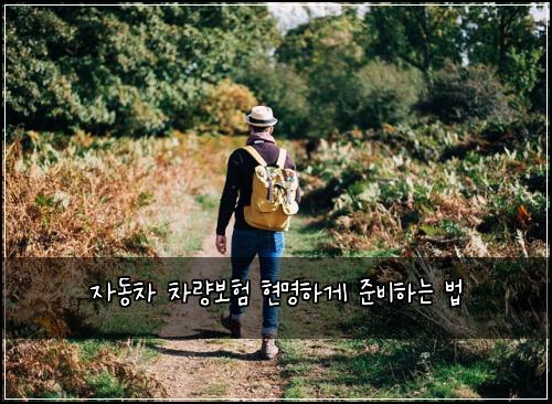 자동차 차량보험 현명하게 준비하는 법