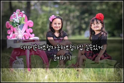 더케이손해보험자동차보험가입 실속있게 준비하기