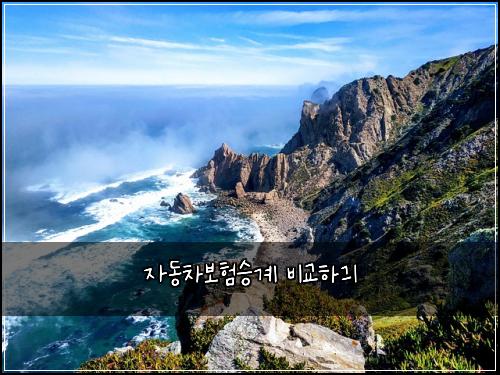 자동차보험승계 비교하긔