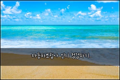์๋์ฐจ๋ณดํ์ฌ ์ธ๊ธฐ ์ ๊ฒํ๊ธฐ