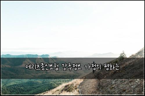 λ©λ¦¬μΈ μ’
μ 보ν κ°μΆμ 보 κ°μ μ ννλ