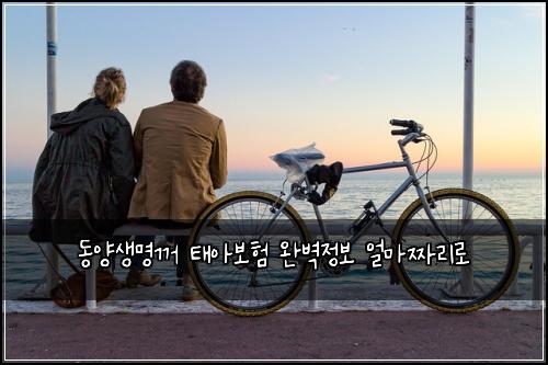 동양생명꺼 태아보험 완벽정보  얼마짜리로