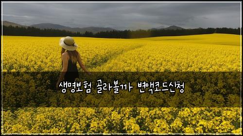 생명보험 골라볼까  변액코드신청