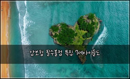 암보험 필수볼점  특징 7세아이들도