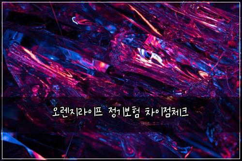 오렌지라이프 정기보험 차이점체크 