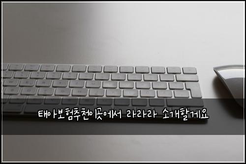 ํ์๋ณดํ์ถ์ฒ์ด๊ณณ์์ ๋ผ๋ผ๋ผ ์๊ฐํ ๊ฒ์