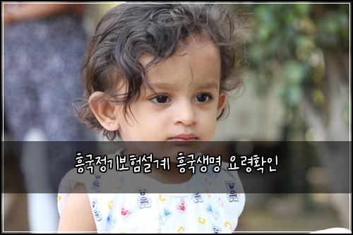 흥국정기보험설계 흥국생명 요령확인