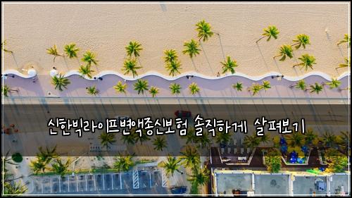 신한빅라이프변액종신보험 솔직하게 살펴보기