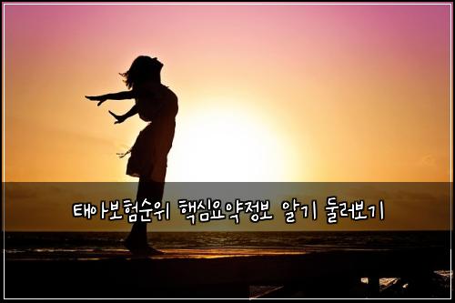 태아보험순위 핵심요약정보 알기 둘러보기
