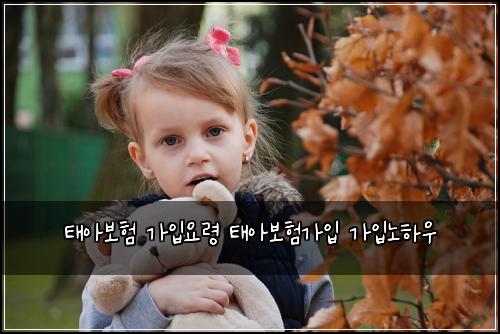 ํ์๋ณดํ ๊ฐ์
์๋ น ํ์๋ณดํ๊ฐ์
๊ฐ์
๋
ธํ์ฐ