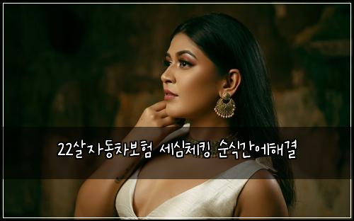 22살자동차보험 세심체킹  순식간에해결