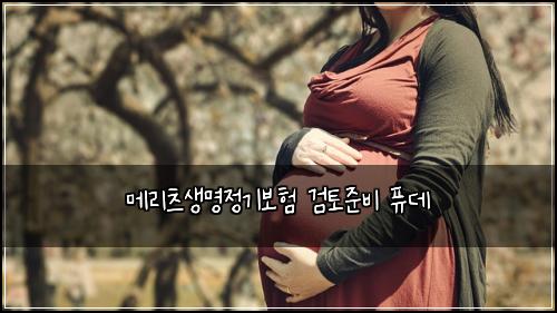 메리츠생명정기보험 검토준비  퓨데
