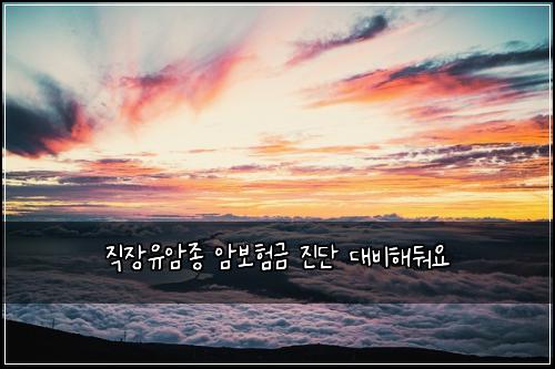 ์ง์ฅ์ ์์ข
์๋ณดํ๊ธ ์ง๋จ ๋๋นํด๋ฌ์