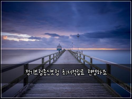 ์ ๊ธฐ๋ณดํ์ข
์ ๋ณดํ ์ต์ ์ ๋ฆฝ๋ฃ ํ๋ช
ํ์ฃ