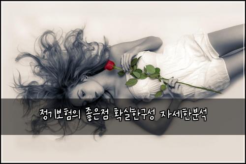 정기보험의 좋은점 확실한구성 자세한분석