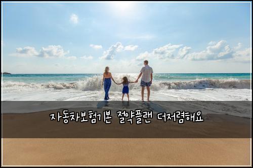 자동차보험기본 절약플랜 더저렴해요