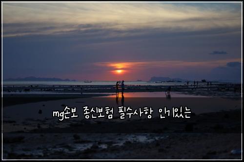 mg손보 종신보험 필수사항  인기있는