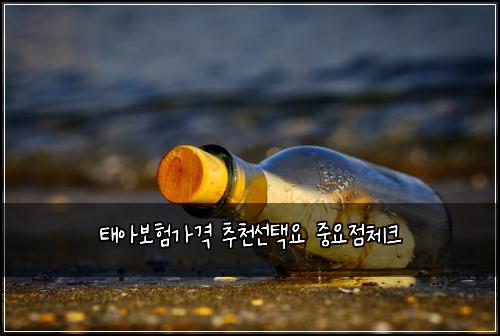 태아보험가격 추천선택요 중요점체크