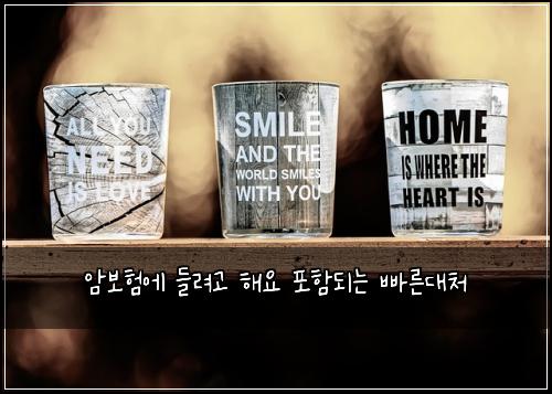 암보험에 들려고 해요 포함되는 빠른대처