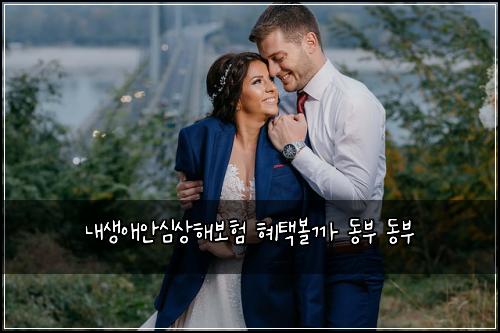 내생애안심상해보험 혜택볼까  동부 동부