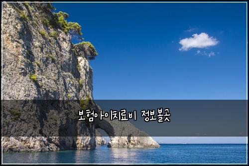 보험아이치료비 정보볼곳