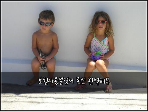 보험사용설명서 종신 완벽해부