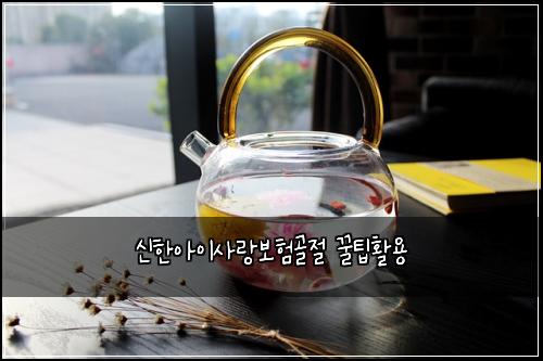 ์ ํ์์ด์ฌ๋๋ณดํ๊ณจ์ ๊ฟํํ์ฉ