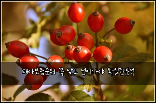 태아보험순위 꼭 알고 넘어가야 확실한분석