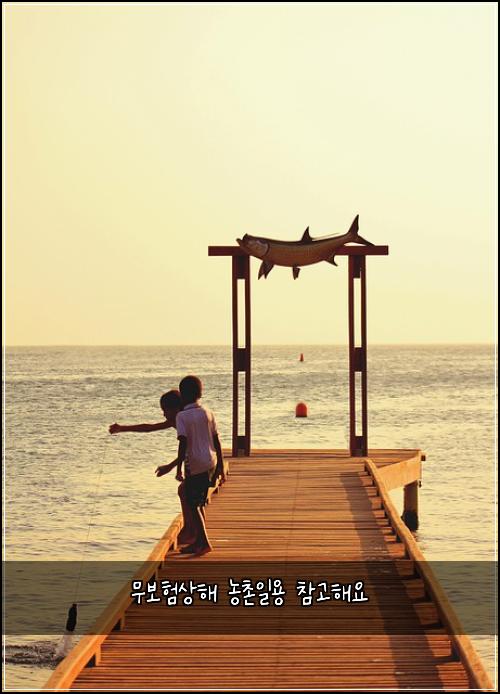 무보험상해 농촌일용 참고해요