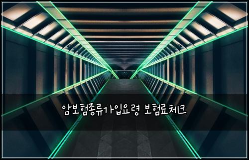 암보험종류가입요령 보험료체크