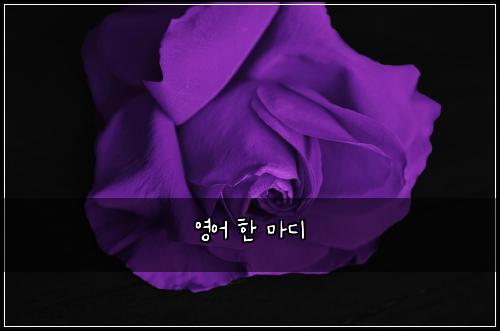 ์์ด ํ ๋ง๋