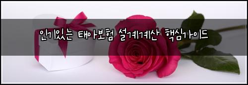 인기있는 태아보험 설계계산  핵심가이드