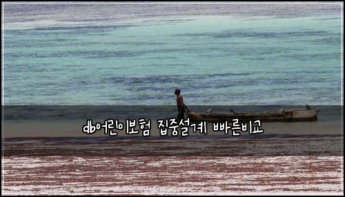 db์ด๋ฆฐ์ด๋ณดํ ์ง์ค์ค๊ณ ๋น ๋ฅธ๋น๊ต