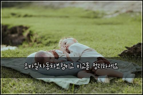 모바일자동차보험비교 비교몰 정리하세요