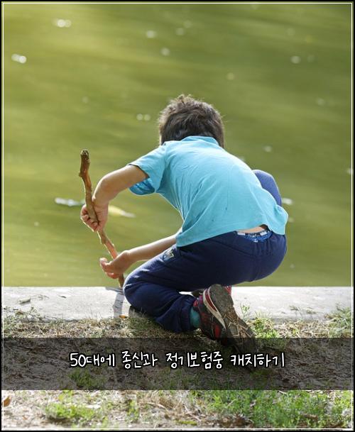 50대에 종신과 정기보험중 캐치하기