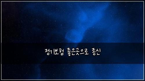 정기보험 좋은곳으로  종신