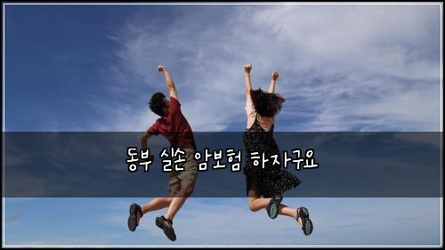 동부 실손 암보험 하자구요 